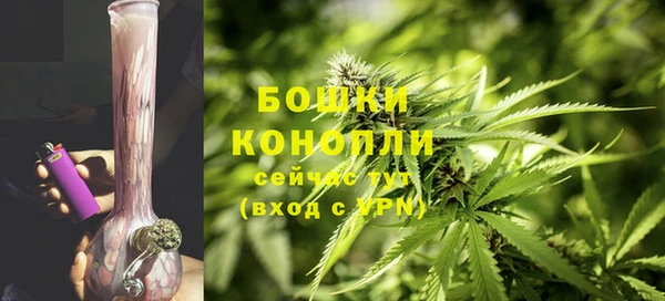 прущие крисы Кодинск
