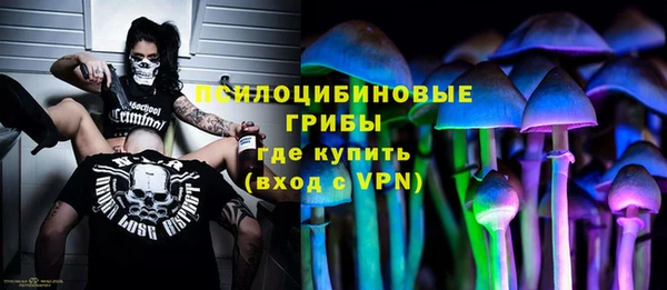 ALPHA PVP Козельск