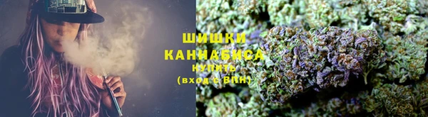 прущие крисы Кодинск