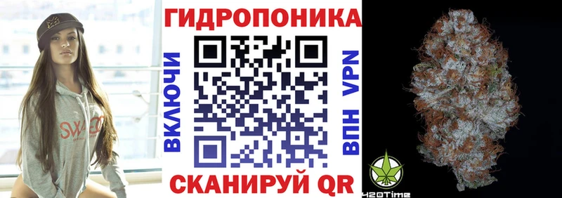 Купить где  Грязи  Бошки Шишки Ganja 